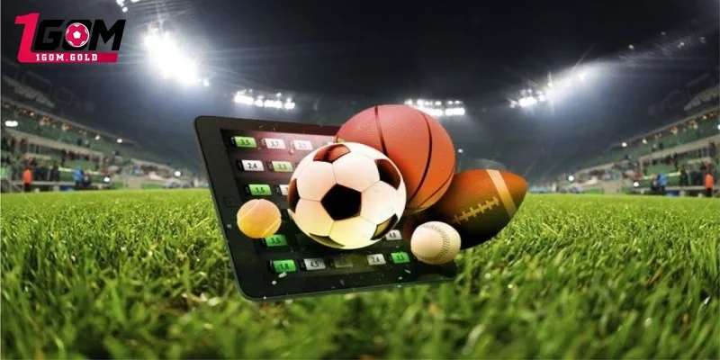 Lời khuyên từ chuyên gia